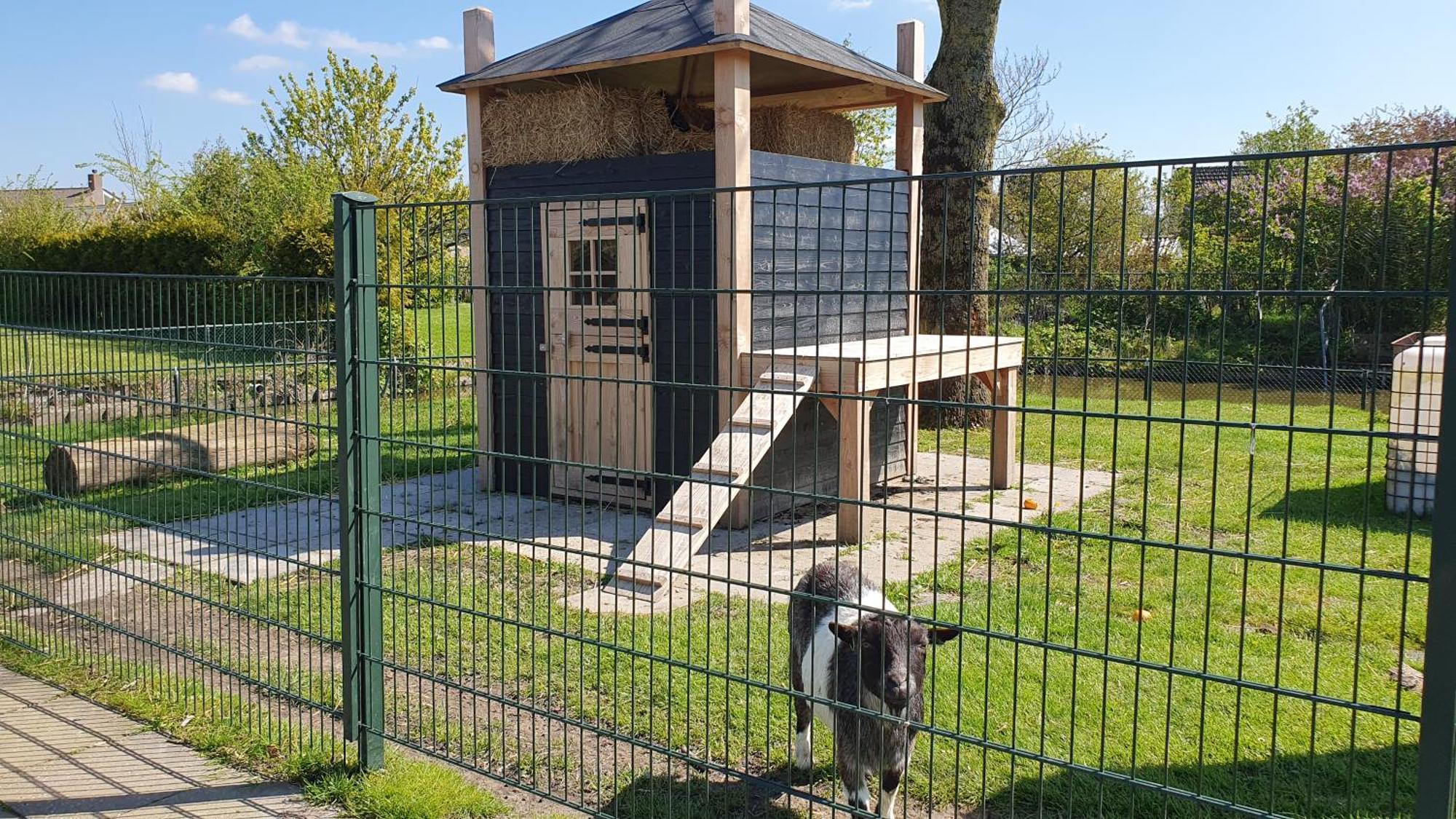 Luxe Zomerwoning Met Omheinde Tuin Voor Hond En Kinderen Dirkshorn Extérieur photo